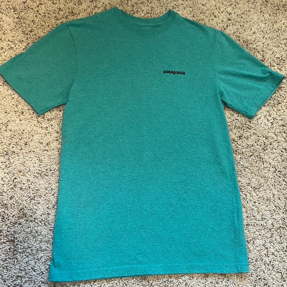 BRAND NEW Men’s Patagonia Responsibili-tee XS Regular fit beautiful green tee